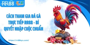 Cách Tham Gia Đá Gà Trực Tiếp RR88 - Bí Quyết Nhập Cuộc Chuẩn